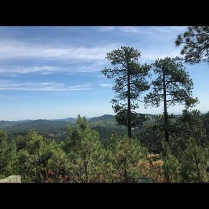 Meet your Posher, Mackenzie